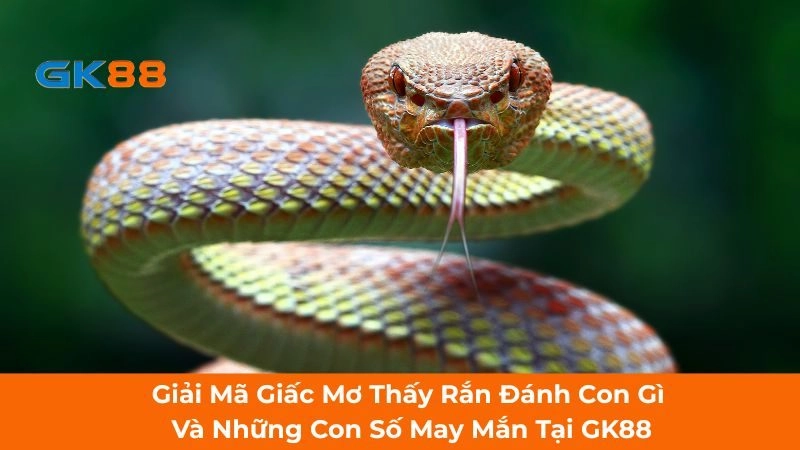 mơ thấy rắn đánh con gì